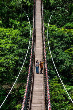 2024 Alishan Photography Contest (7)