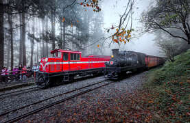 2024 Alishan Photography Contest (14)