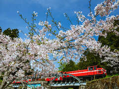 2024 Alishan Photography Contest (17)