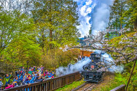 2024 Alishan Photography Contest (23)