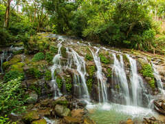 2024 Alishan Photography Contest (19)