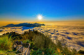 2024 Alishan Photography Contest (29)