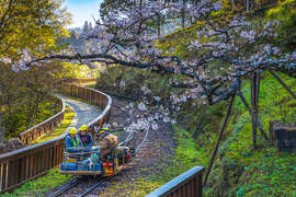 2024 Alishan Photography Contest (26)