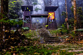 2024 Alishan Photography Contest (32)