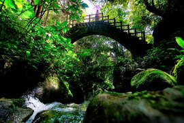 2024 Alishan Photography Contest (39)