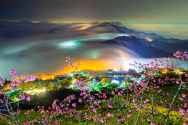 2024 Alishan Photography Contest (38)