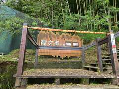 阿里山轄區步道封閉