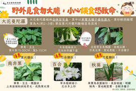 衛生福利部食品藥物管理署-「不採、不食野生不明動植物」