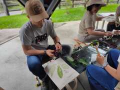 植物槌染體驗