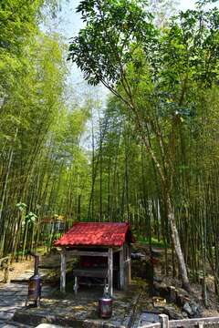 下腳店仔步道_老老街聚落土地公(黎彥均攝)