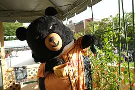 慢耕採果場體驗