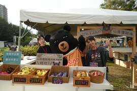 新鮮水果產地直銷