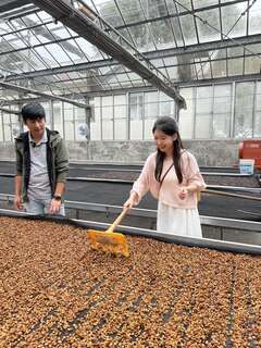 金琳阿里山咖啡之旅