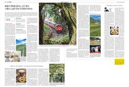 《Weekly Biz》 版面露出