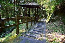 西側路段的木馬道