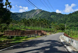 以木棧道圍繞的生態池