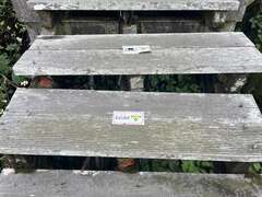 步道損壞情況近照