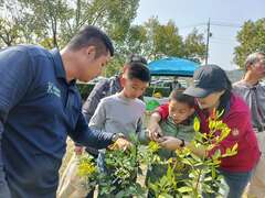 透過實際操作，體驗植栽修剪技巧