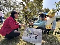 12不良支修剪示範