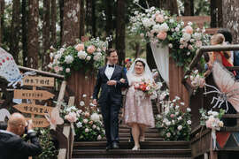 阿里山神木下婚禮
