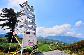 瑞峰1314愛情塔