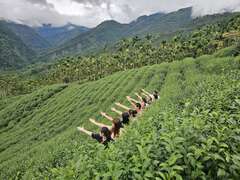 茶園團體合照_生元高山茶業提供