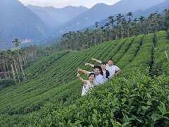 茶園合照_生元高山茶業提供