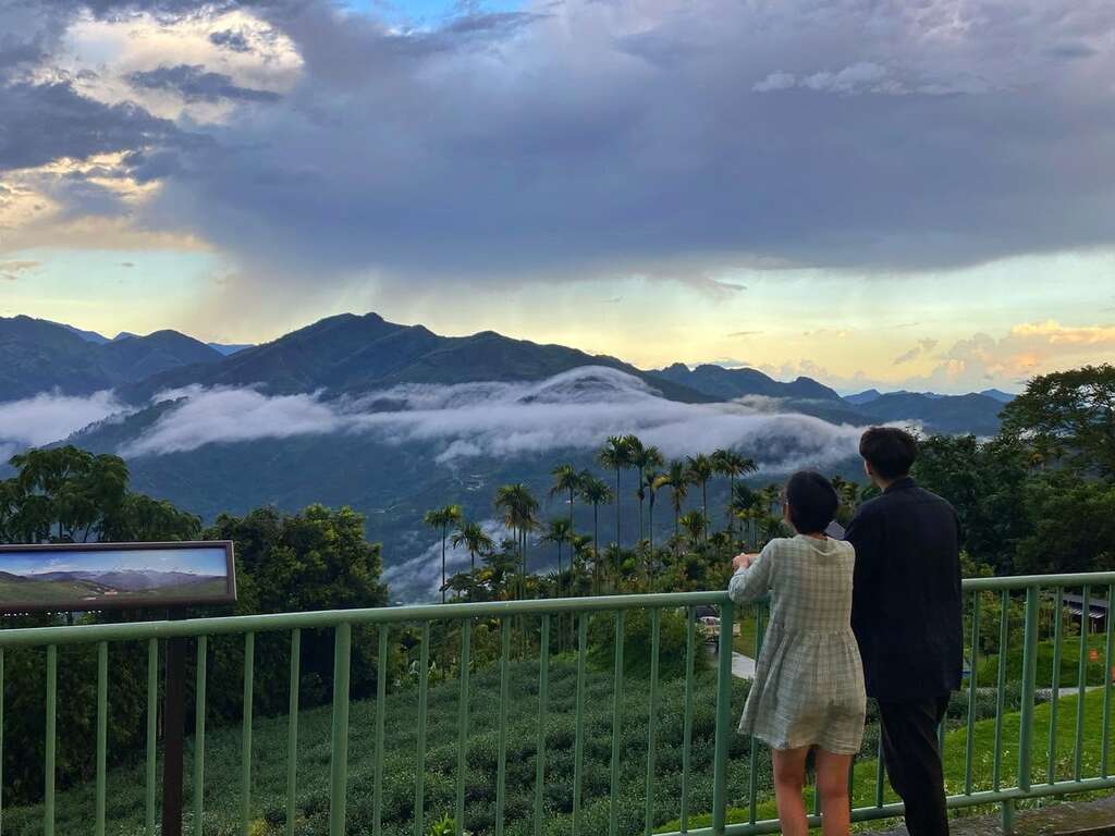 眺望山間雲海_琥珀社咖啡莊園提供