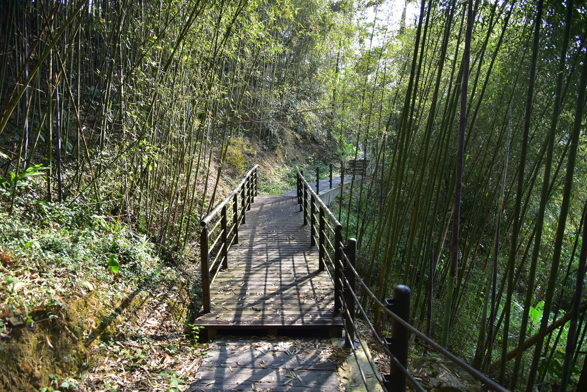 麻竹湖步道
