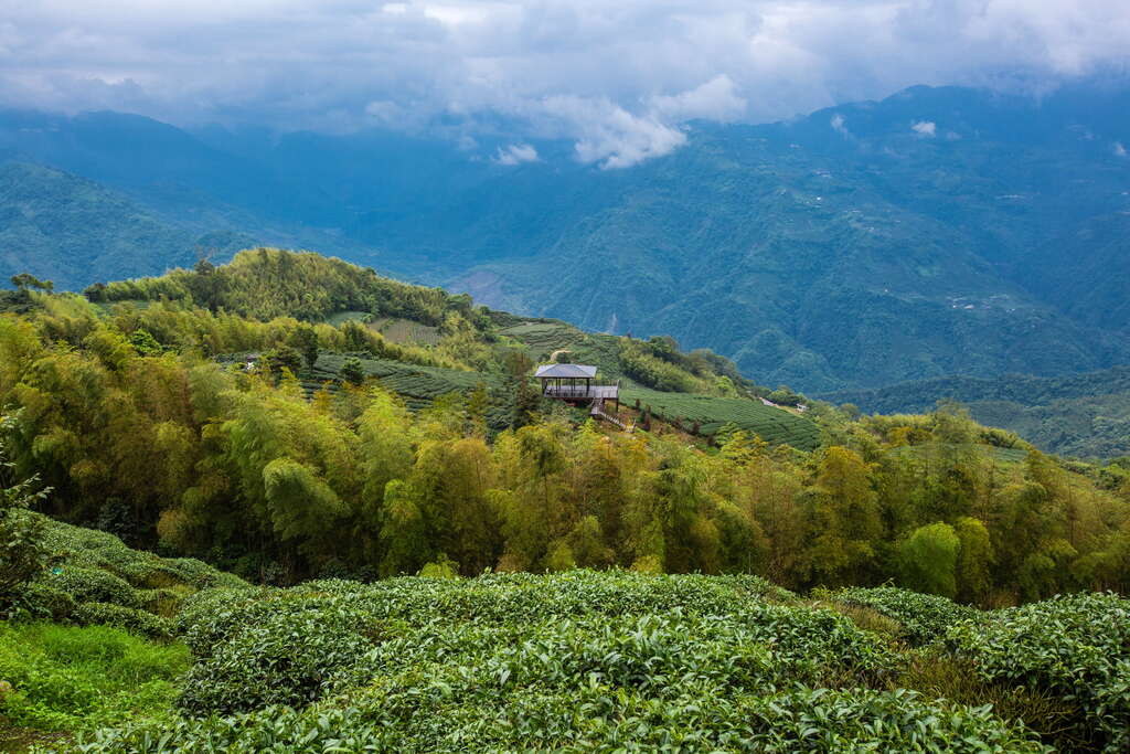 얼젠산 산책로