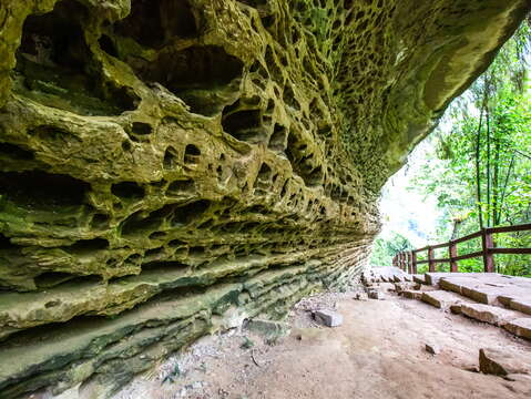 Alishan's Landscape Beauty