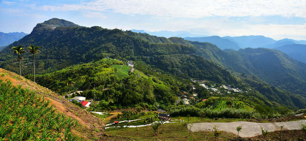 麻竹湖步道途間美景