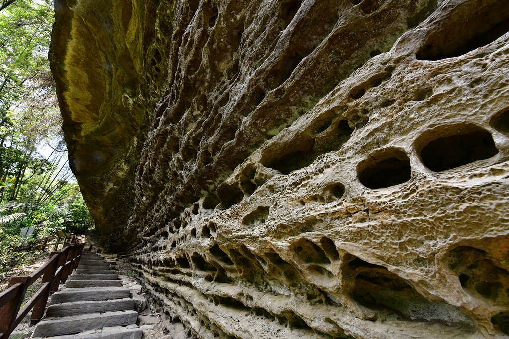 步道中點的蝙蝠洞、燕子崖為相鄰的岩壁