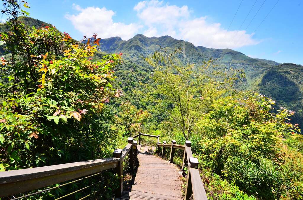 青年嶺步道景色優美