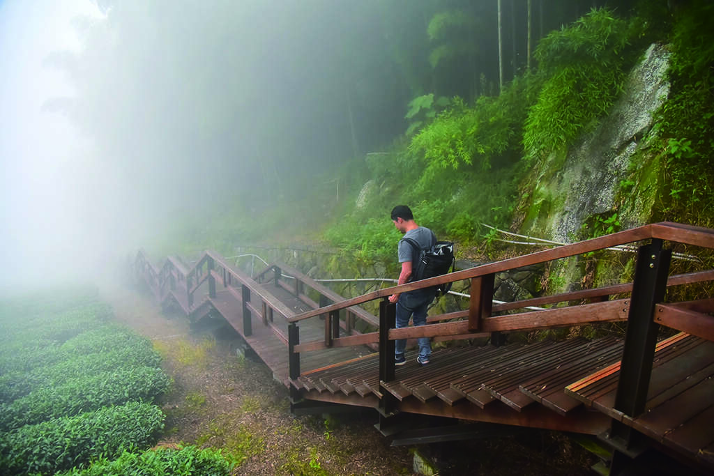 長約100 多公尺的木棧道，平緩且易於親近