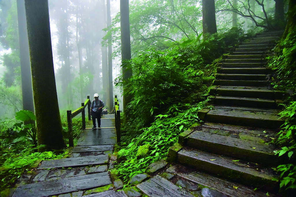 歷經尾段攀升的木棧道，方能抵達最高處終點