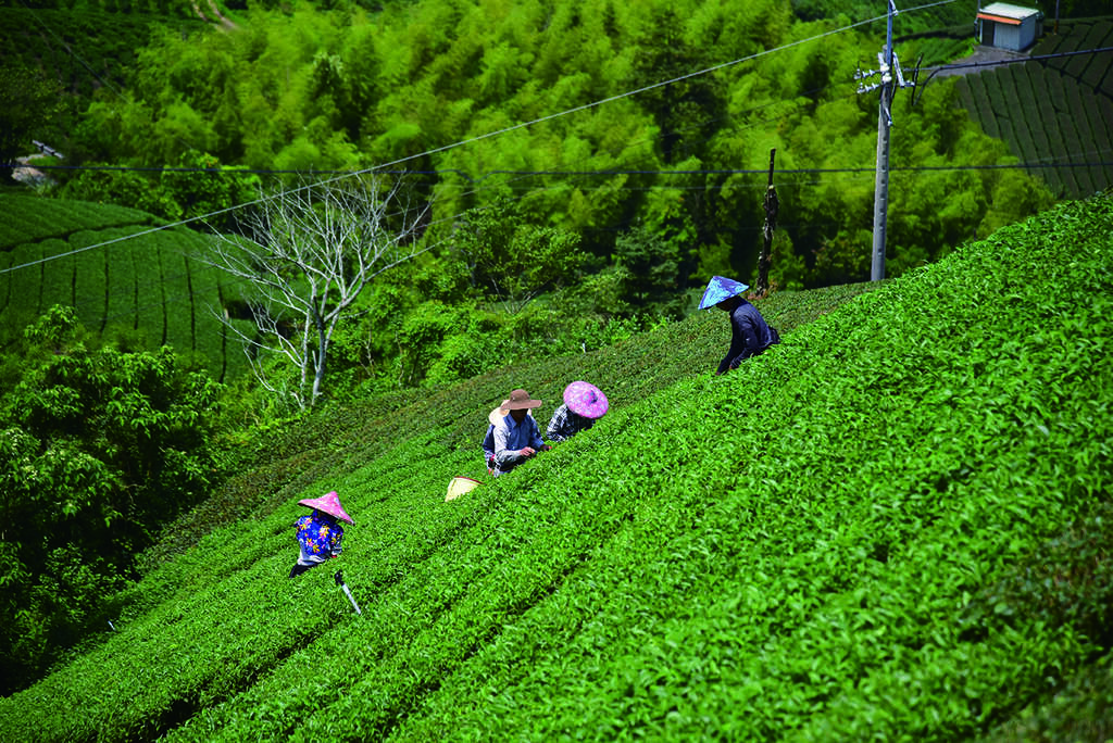 075-DSC_6251_1314步道