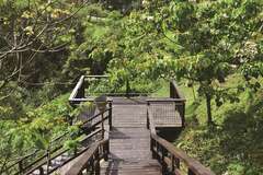 Longmei Trail