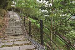 Longmei Trail