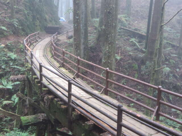 特富野古道(林務局提供)