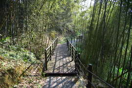 121-F_麻竹湖步道