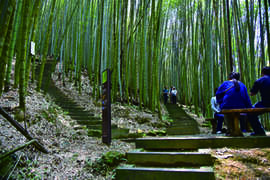 154-DSC_1254_木馬棧道-s