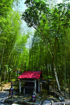 下腳店仔步道