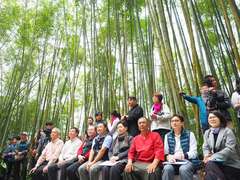 Four Seasons of Alishan Tea Tourism – A Winter Tea Party in the Bamboo Forest