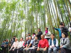 阿里山四季茶の旅　冬の竹林茶会