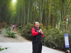 阿里山四季茶の旅　冬の竹林茶会