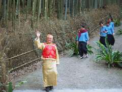 阿里山四季茶の旅　冬の竹林茶会