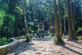 Longmei Trail