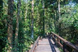 Longmei Trail