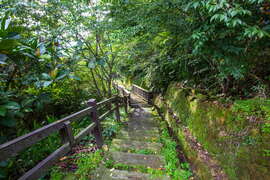 竹坑渓歩道